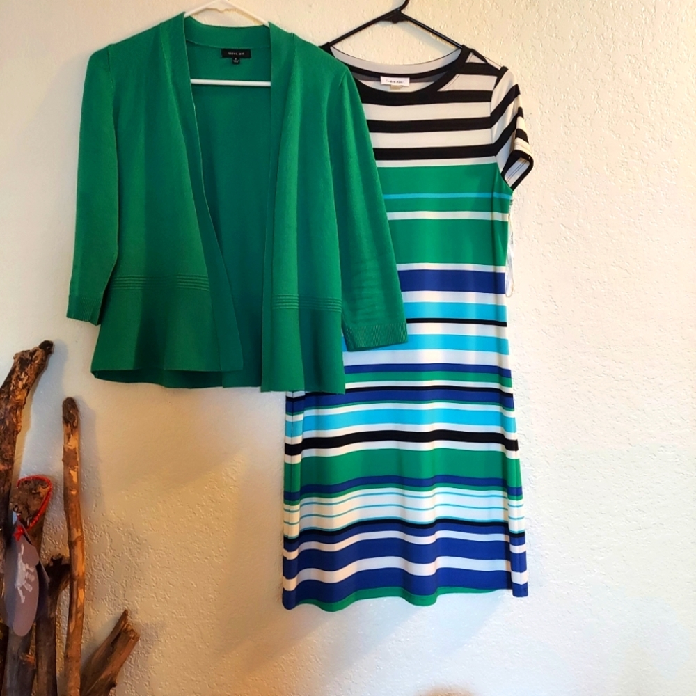 Calvin Klein Shift Dress & Blazer